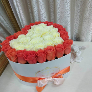 41 белая роза с коралловой окантовкой - сердце