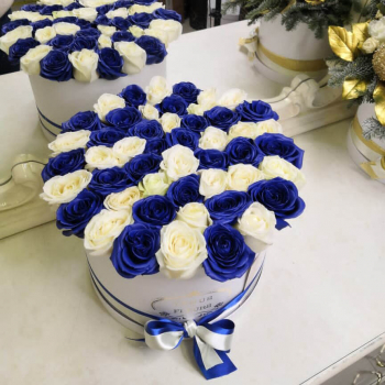 41 бело-синяя роза в коробке