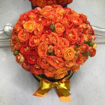 45 коралловых кустовых роз в коробке