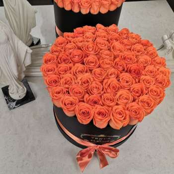 41 коралловая роза в коробке 41 коралловая роза в коробке