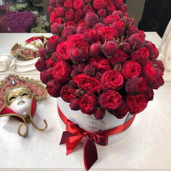 41 красная пионовидная роза в коробке 41 красная пионовидная роза в коробке