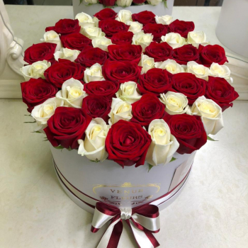 41 красно-белая роза в коробке