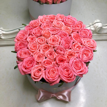 41 розовая роза в коробке 41 розовая роза в коробке