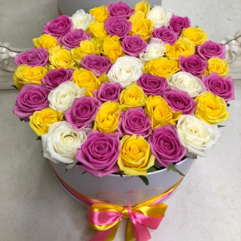 41 разноцветная роза в коробке