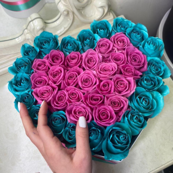 41 розовая роза с окантовкой - сердце