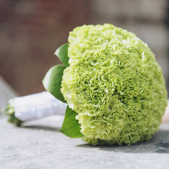 Букет невесты из гвоздик - 19 шт.