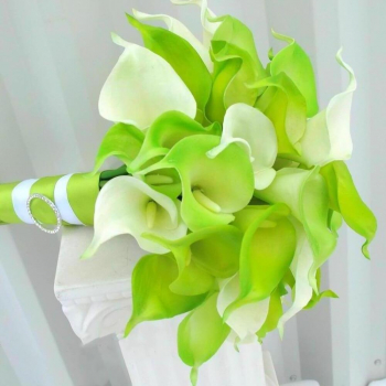 Бело-зеленый букет из калл - 19 шт.