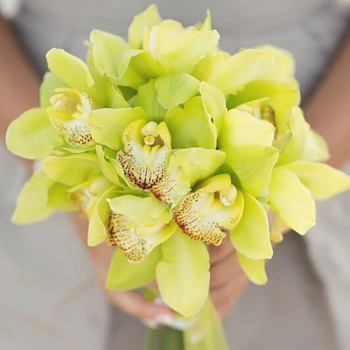 Свадебный букет из орхидей - 15 шт.