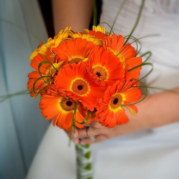 Букет невесты из гербер