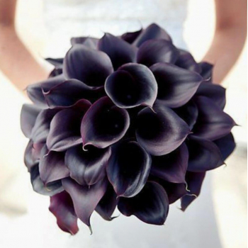 Букет невесты из черных калл - 29 шт.