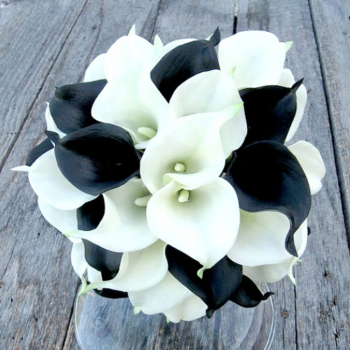 Черно-белые каллы - 19 шт.