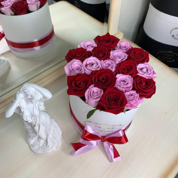 Красно-фиолетовые розы - 19 шт.