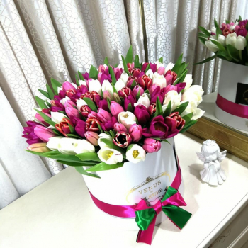 Микс из тюльпанов в коробке - 101 шт.