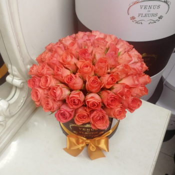 81 коралловая роза в форме шара 81 коралловая роза в форме шара