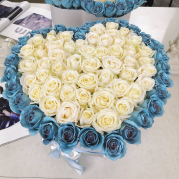 81 роза - "Tiffany Love" 81 роза - "Tiffany Love"