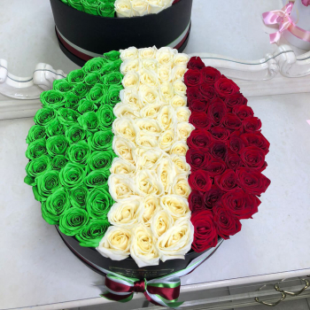 81 роза - флаг Италии