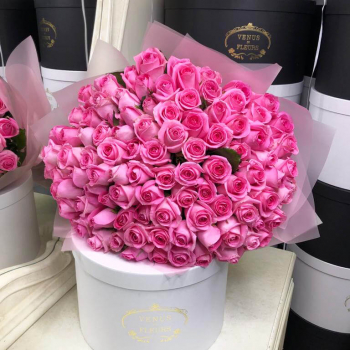 81 розовая роза в букете 81 розовая роза в букете