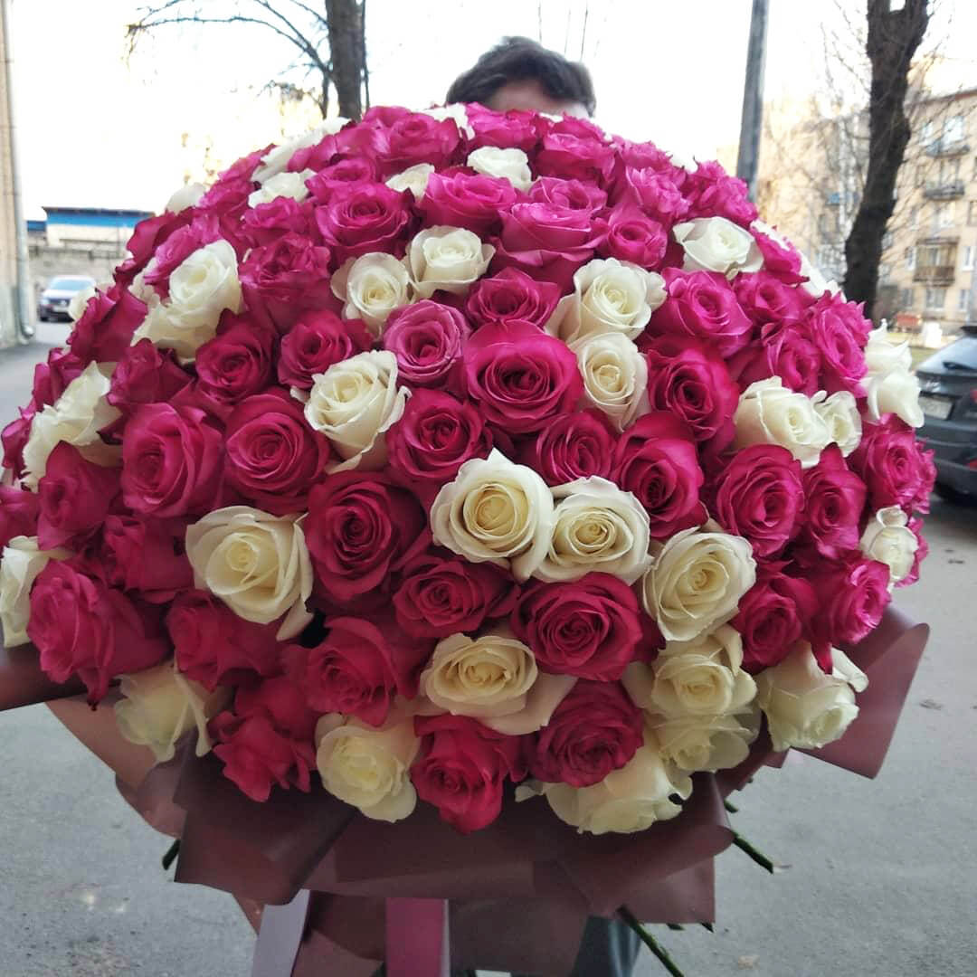 Малиново-белый букет из 81 розы