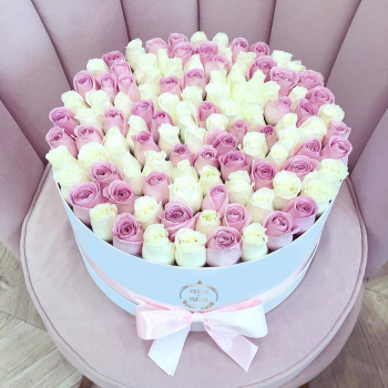 Бело-розовые розы в коробке - 81 шт.