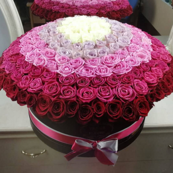 Радуга из роз - 131 шт. Радуга из роз - 131 шт.