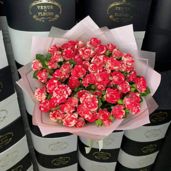 Кустовые розы Файер Воркс от 9 шт. Кустовые розы Файер Воркс от 9 шт.