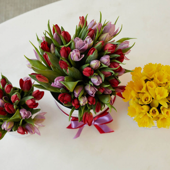 51 тюльпан в коробке 51 тюльпан в коробке