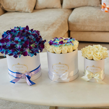 Подарочный набор - 91 шт.