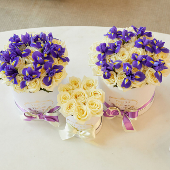 Подарочный набор - 71 шт.