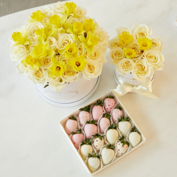 Подарочный набор - 71 шт.