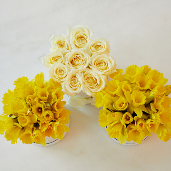 Подарочный набор - 59 шт.