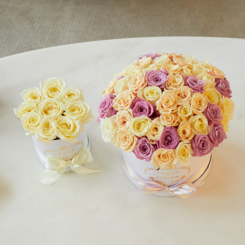 Подарочный набор - 71 шт. Подарочный набор - 71 шт.