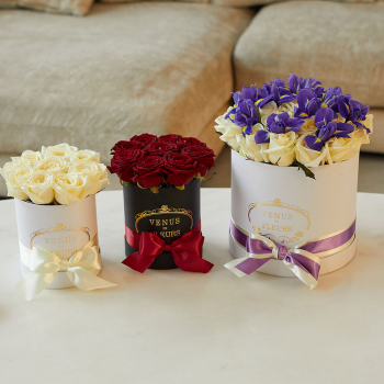 Подарочный набор - 51 шт.