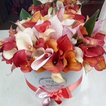 Красно-белые каллы от 51 шт. Красно-белые каллы от 51 шт.