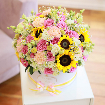 Краски солнца - 81 шт. Краски солнца - 81 шт.