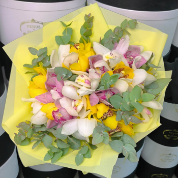 Разноцветные орхидеи от 15 шт. Разноцветные орхидеи от 15 шт.