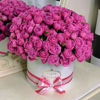 Пионовидные розы в коробке - 51 шт.