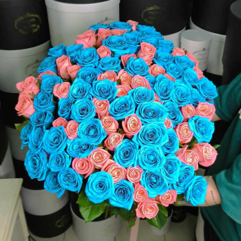 Букет розовых и голубых роз - 101 шт.