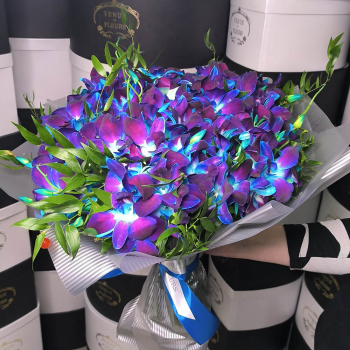 Букет синих орхидей от 41 шт.