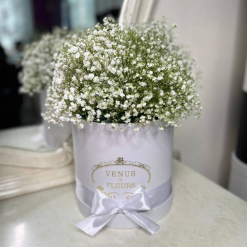 Белые гипсофилы в коробке - 9 шт. Белые гипсофилы в коробке - 9 шт.