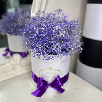 Фиолетовые гипсофилы в коробке - 9 шт.