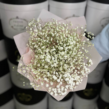 Белые гипсофилы в букете - 9 шт.