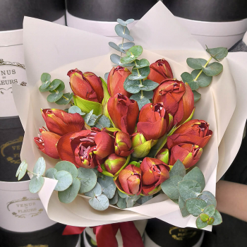 Красные амариллисы с эвкалиптом - 9 шт. Красные амариллисы с эвкалиптом - 9 шт.