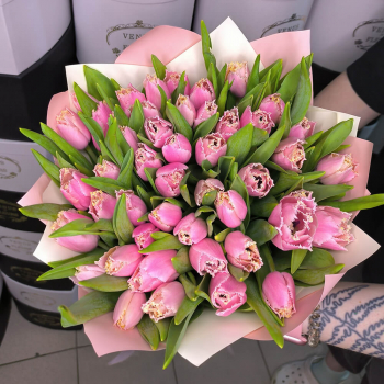51 махровый розовый тюльпан в букете 51 махровый розовый тюльпан в букете