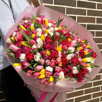 301 разноцветный тюльпан в букете 301 разноцветный тюльпан в букете