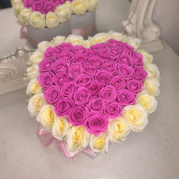 Розовые розы с белой окантовкой - 41 шт. Розовые розы с белой окантовкой - 41 шт.