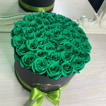 Темно-зеленые розы в коробке - 51 шт.