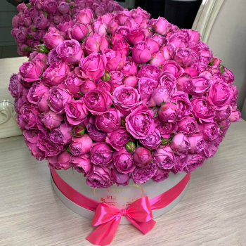 Розовые пионовидные розы - 81 шт.