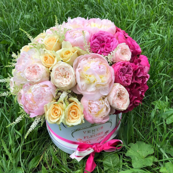 Пионовидные розы с пионами от 41 шт. Пионовидные розы с пионами от 41 шт.