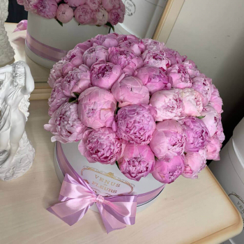 Пионы в коробке от 9 шт.