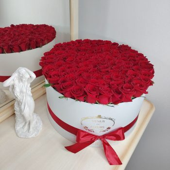 Красные розы в коробке от 81 шт.
